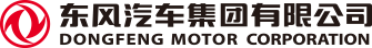 DFM_logo